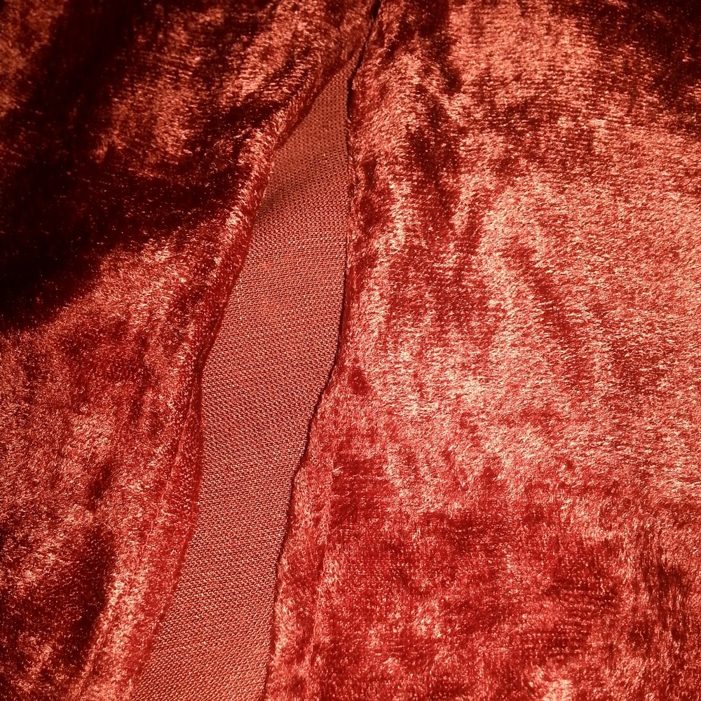 Don’t Mess With Texas women velvet blouse shirt Long Sleeve, RED, Small, New-WOT - Picture 7 of 7